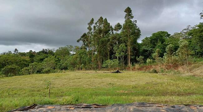 50% De Um Imóvel C/ 1,730 Alq. Em Marechal Cândido Rondon/pr, localizado em Marechal Cândido Rondon - PR