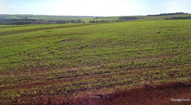 20% De Um Imóvel C/ 15,50 Alq. Em Jaguapitã/pr, localizado em Jaguapitã - PR