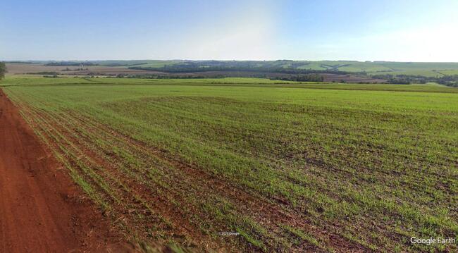 20% De Um Imóvel C/ 15,50 Alq. Em Jaguapitã/pr, localizado em Jaguapitã - PR
