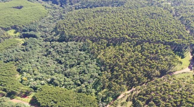 50% De Um Imóvel C/ 25 Alq. Em Ortigueira/pr, localizado em Ortigueira - PR
