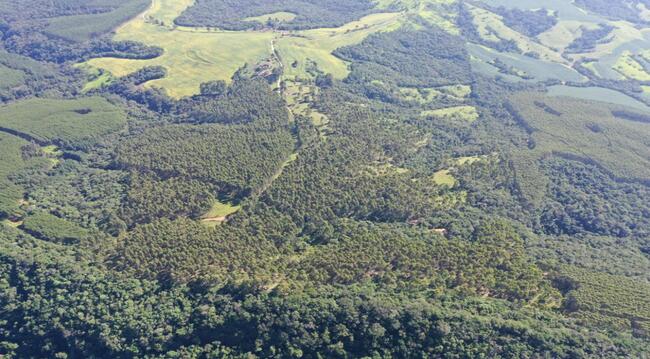 50% De Um Imóvel C/ 25 Alq. Em Ortigueira/pr, localizado em Ortigueira - PR
