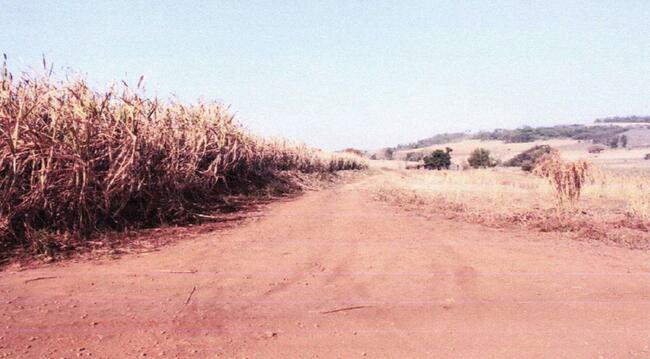 33,333% De Um Imóvel C/ 10 Alq. Em Jacarezinho/pr, localizado em Jacarezinho - PR