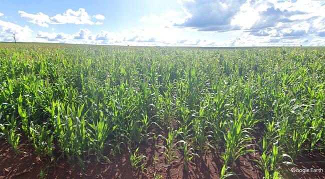 50% De Um Imóvel C/ 05 Alq. Na Vila Aurora Em Cambará/pr, localizado em Cambará - PR