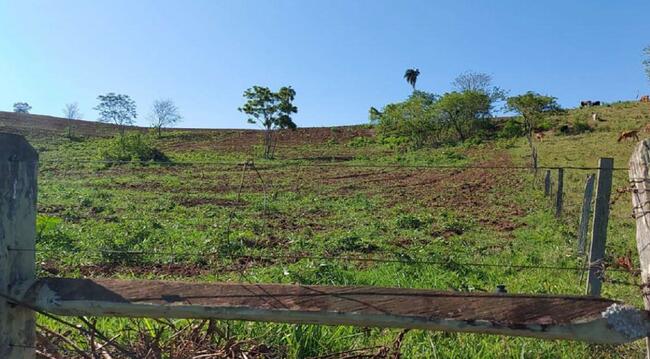 Parte Ideal C/ 0,5 Alq. Em Ribeirão Do Pinhal/pr, localizado em Ribeirão Do Pinhal - PR