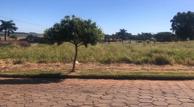 Imóvel C/ 516,83m² Em Prado Ferreira/pr, localizado em Prado Ferreira - PR