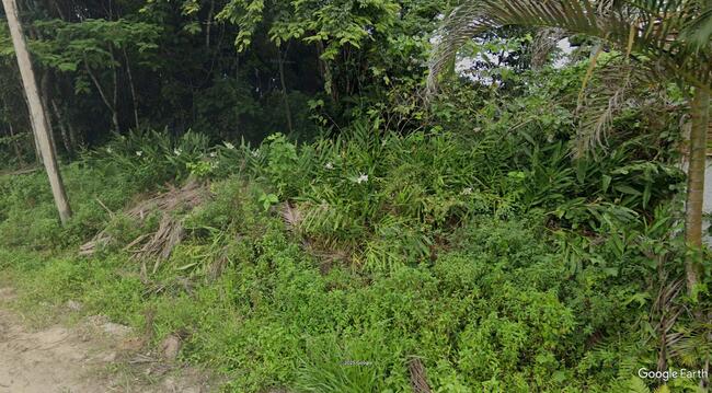 Imóvel C/ 477m² No Parque Balneário Boracéia I Em São Sebastião/sp, localizado em São Sebastião - SP