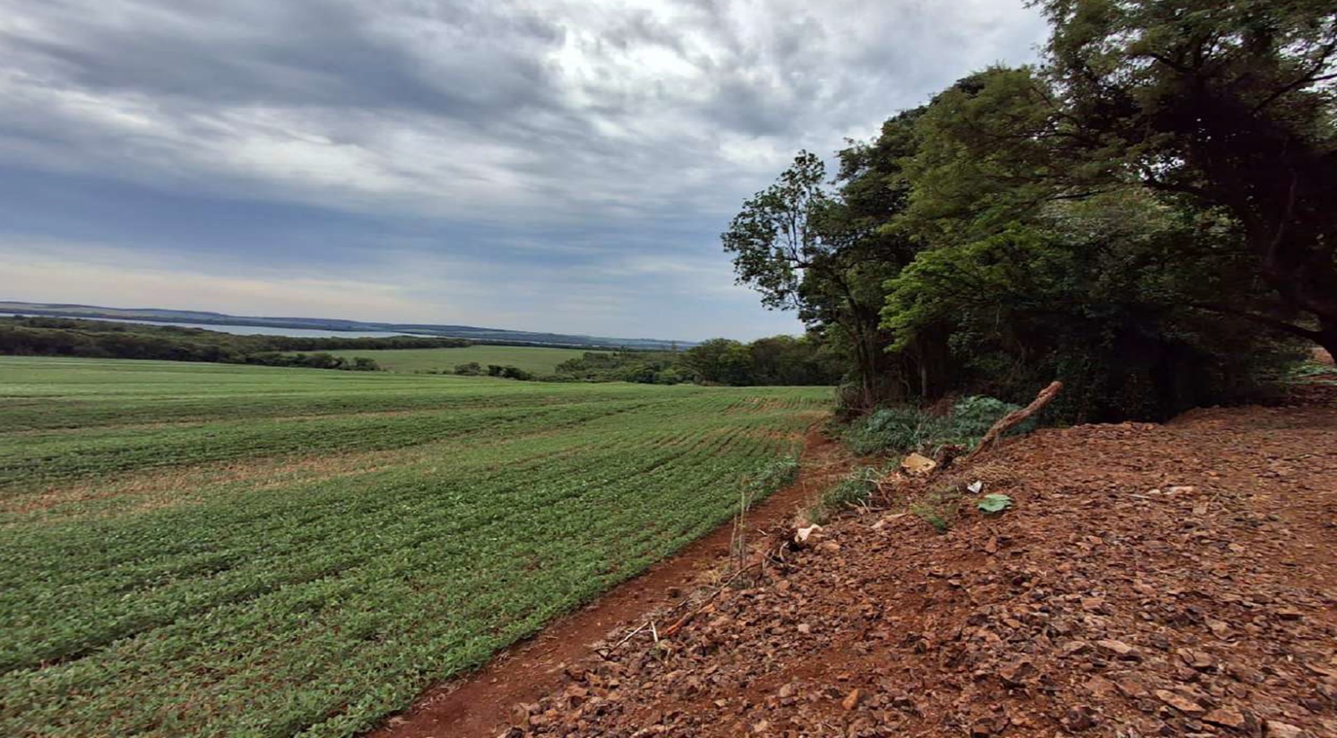 Imóvel c/ 1,41 alq. em Mercedes/PR - leilão judicial - Mercedes PR - lance mínimo R$ 225.000