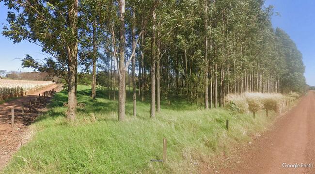 Imóvel C/ 4,68 Alq. Em Mercedes/pr, localizado em Marechal Cândido Rondon - PR