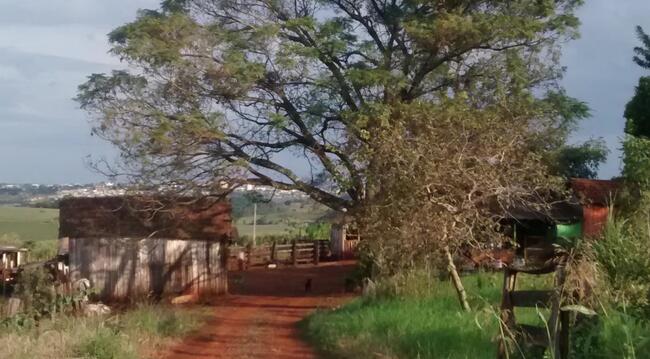 25% De Um Imóvel C/ 10 Alq. Em Ibiporã/pr, localizado em Ibiporã - PR