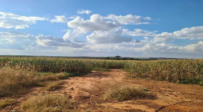 Imóvel C/ 921,16 Ha Em Sorriso/mt, localizado em Sorriso - MT