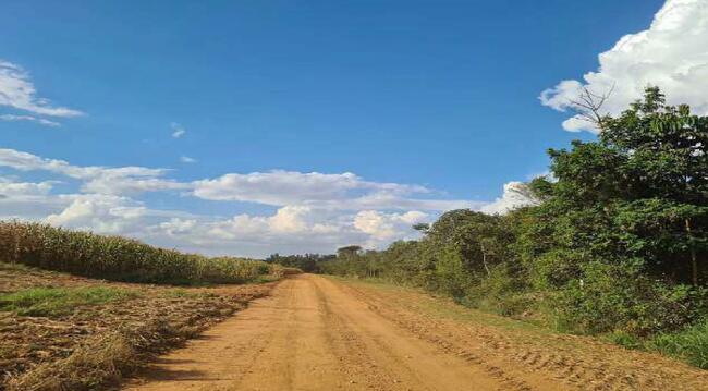 Imóvel C/ 921,16 Ha Em Sorriso/mt, localizado em Sorriso - MT