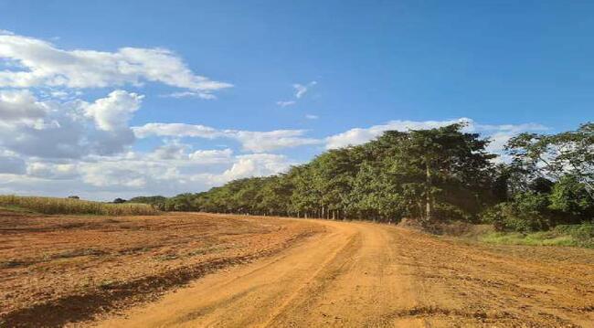 Imóvel C/ 921,16 Ha Em Sorriso/mt, localizado em Sorriso - MT