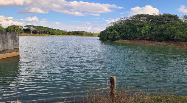 Imóvel C/ 921,16 Ha Em Sorriso/mt, localizado em Sorriso - MT