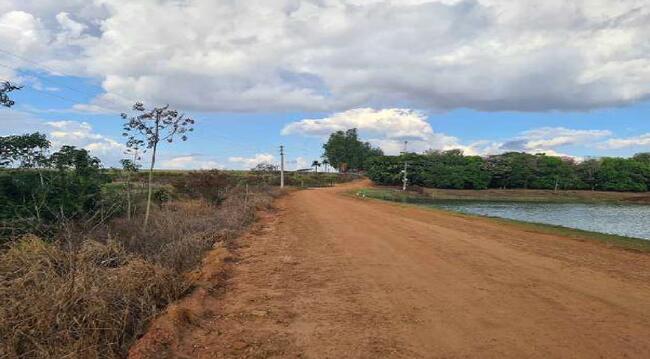 Imóvel C/ 921,16 Ha Em Sorriso/mt, localizado em Sorriso - MT