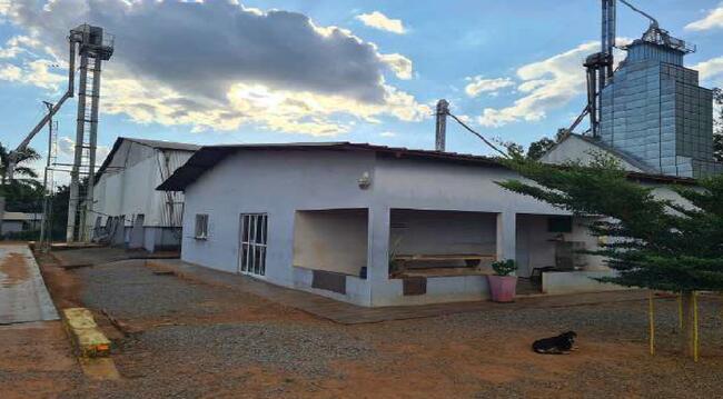 Imóvel C/ 921,16 Ha Em Sorriso/mt, localizado em Sorriso - MT