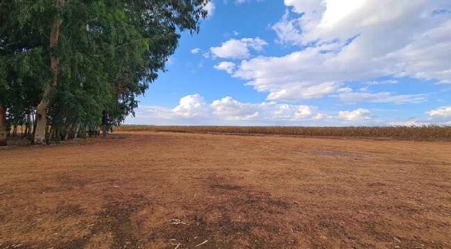 Imóvel C/ 921,16 Ha Em Sorriso/mt, localizado em Sorriso - MT