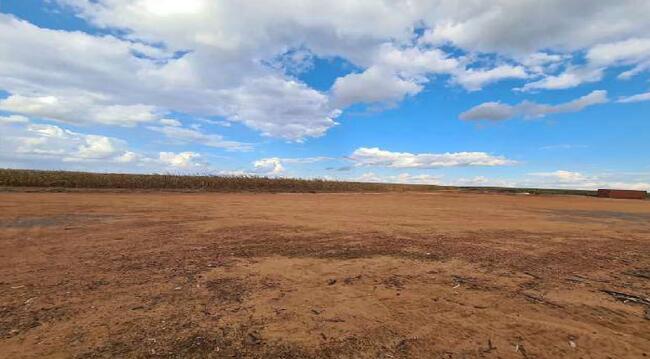 Imóvel C/ 921,16 Ha Em Sorriso/mt, localizado em Sorriso - MT