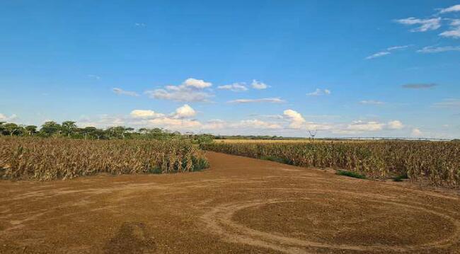 Imóvel C/ 921,16 Ha Em Sorriso/mt, localizado em Sorriso - MT