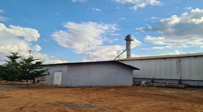 Imóvel C/ 921,16 Ha Em Sorriso/mt, localizado em Sorriso - MT