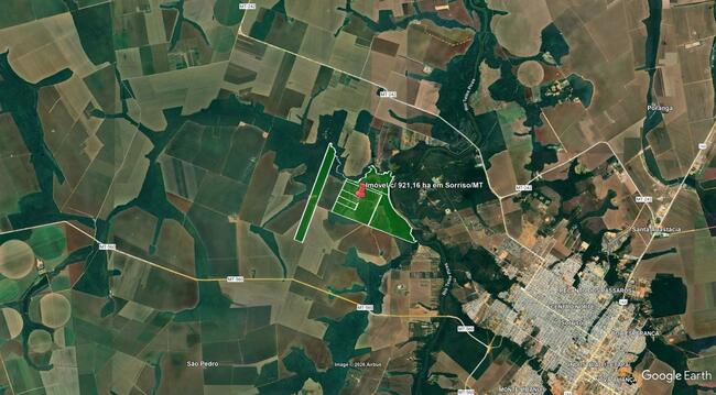 Imóvel C/ 921,16 Ha Em Sorriso/mt, localizado em Sorriso - MT