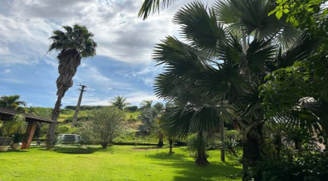Direitos - Imóvel C/ 8.000m² Em Assaí/pr, localizado em Assaí - PR