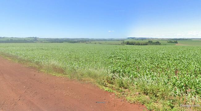 Imóvel C/ 5,50 Alq. Em Ouro Verde Do Oeste/pr, localizado em Toledo - PR