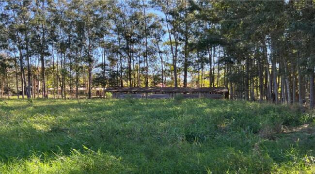 Imóvel C/ 03 Alq. Xambrê/pr, localizado em Xambrê - PR, bairro Eliza