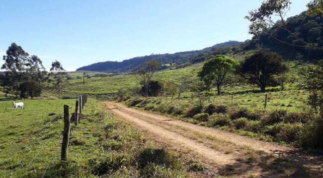 Imóvel C/ 38,66 Alq. Em Cândido De Abreu/pr, localizado em Cândido De Abreu - PR
