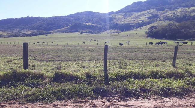 Imóvel C/ 38,66 Alq. Em Cândido De Abreu/pr, localizado em Cândido De Abreu - PR