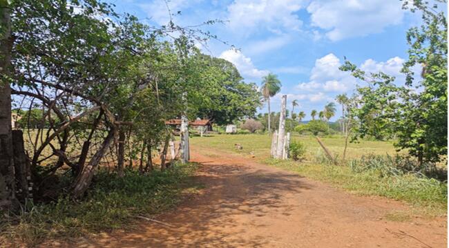 Imóvel C/ 5,0 Ha Em Terenos/ms, localizado em Terenos - MS