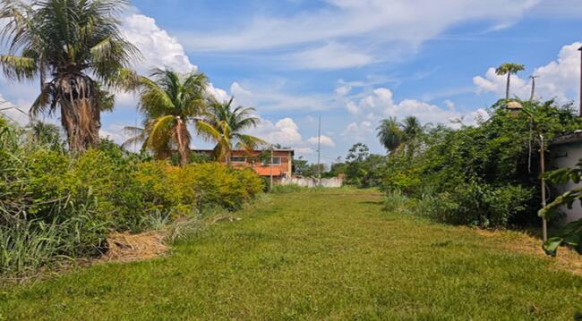 Imóvel C/ 5,0 Ha Em Terenos/ms, localizado em Terenos - MS