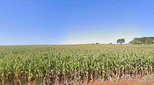 Imóvel C/ 8,46 Alq. Em Alvorada Do Sul/pr, localizado em Alvorada Do Sul - PR