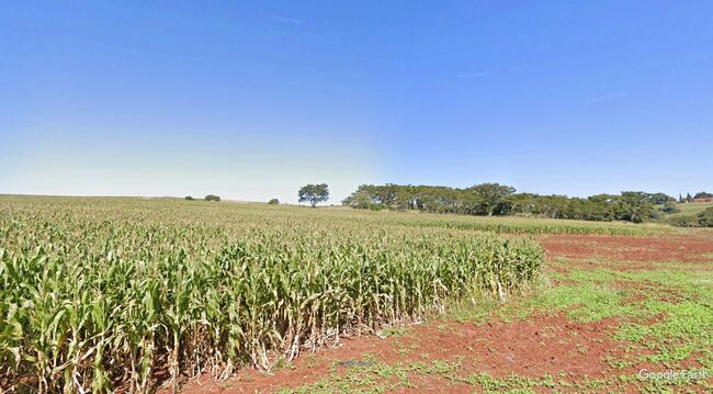 Imóvel C/ 8,46 Alq. Em Alvorada Do Sul/pr, localizado em Alvorada Do Sul - PR