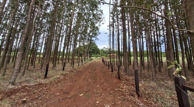 Imóvel C/ 4,68 Alq. Em Mercedes/pr, localizado em Marechal Cândido Rondon - PR