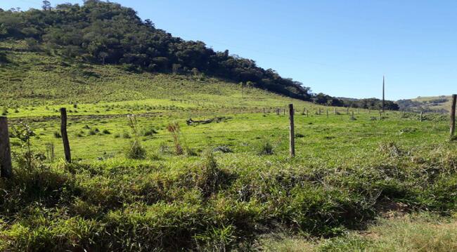 Imóvel C/ 38,66 Alq. Em Cândido De Abreu/pr, localizado em Cândido De Abreu - PR