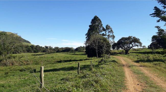 Imóvel C/ 38,66 Alq. Em Cândido De Abreu/pr, localizado em Cândido De Abreu - PR
