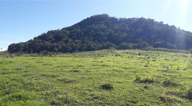 Imóvel C/ 38,66 Alq. Em Cândido De Abreu/pr, localizado em Cândido De Abreu - PR