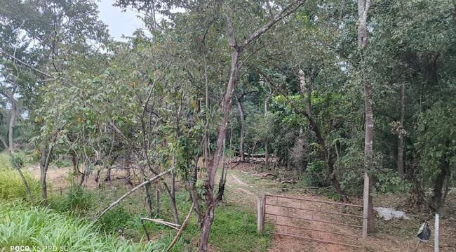 Imóvel C/ 644 Ha Em Santo Antônio De Leverger/mt, localizado em Santo Antônio De Leverger - MT