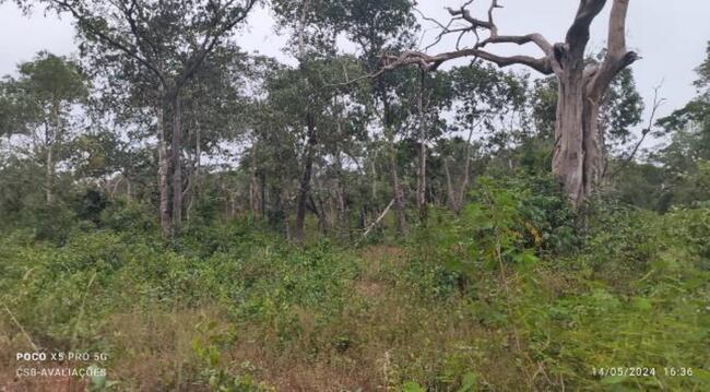 Imóvel C/ 644 Ha Em Santo Antônio De Leverger/mt, localizado em Santo Antônio De Leverger - MT