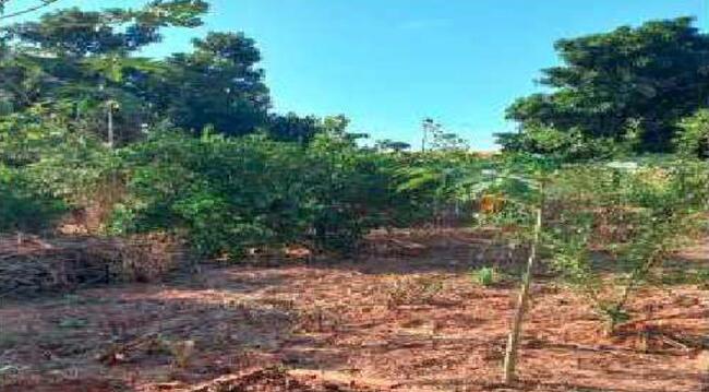 Imóvel C/ 1,37 Alq. Na Colônia Mourão Em Araruna/pr, localizado em Araruna - PR
