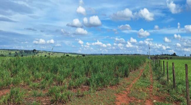 50% De Um Imóvel C/ 10,75 Alq. Em Nova Londrina/pr, localizado em Nova Londrina - PR