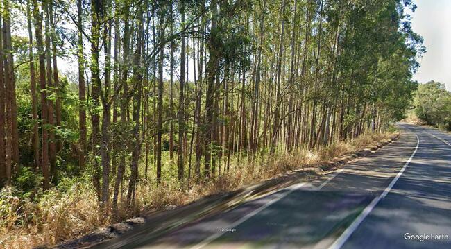Imóvel C/ 5,75 Alq. Em Japira/pr, localizado em Japira - PR, bairro Pico Agudo