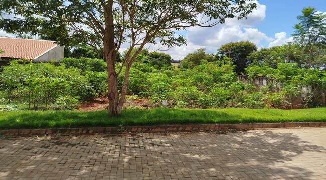 Imóvel C/ 352m² No Distrito De Ivailândia Em Engenheiro Beltrão/pr, localizado em Engenheiro Beltrão - PR, bairro Ivailândia