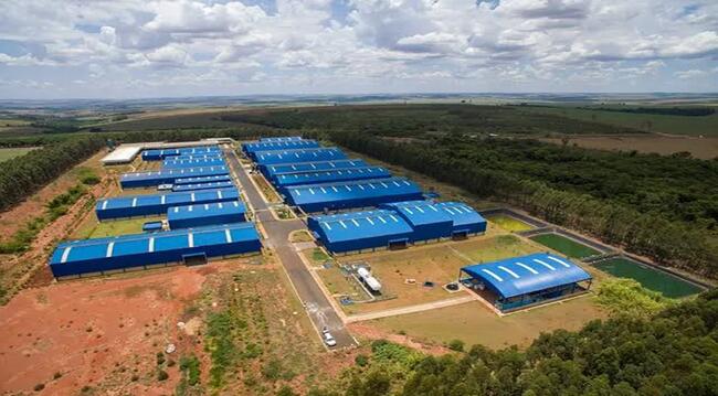 Imóvel C/ 4,96 Alq. Em Prado Ferreira/pr, localizado em Prado Ferreira - PR, bairro Parque Industrial