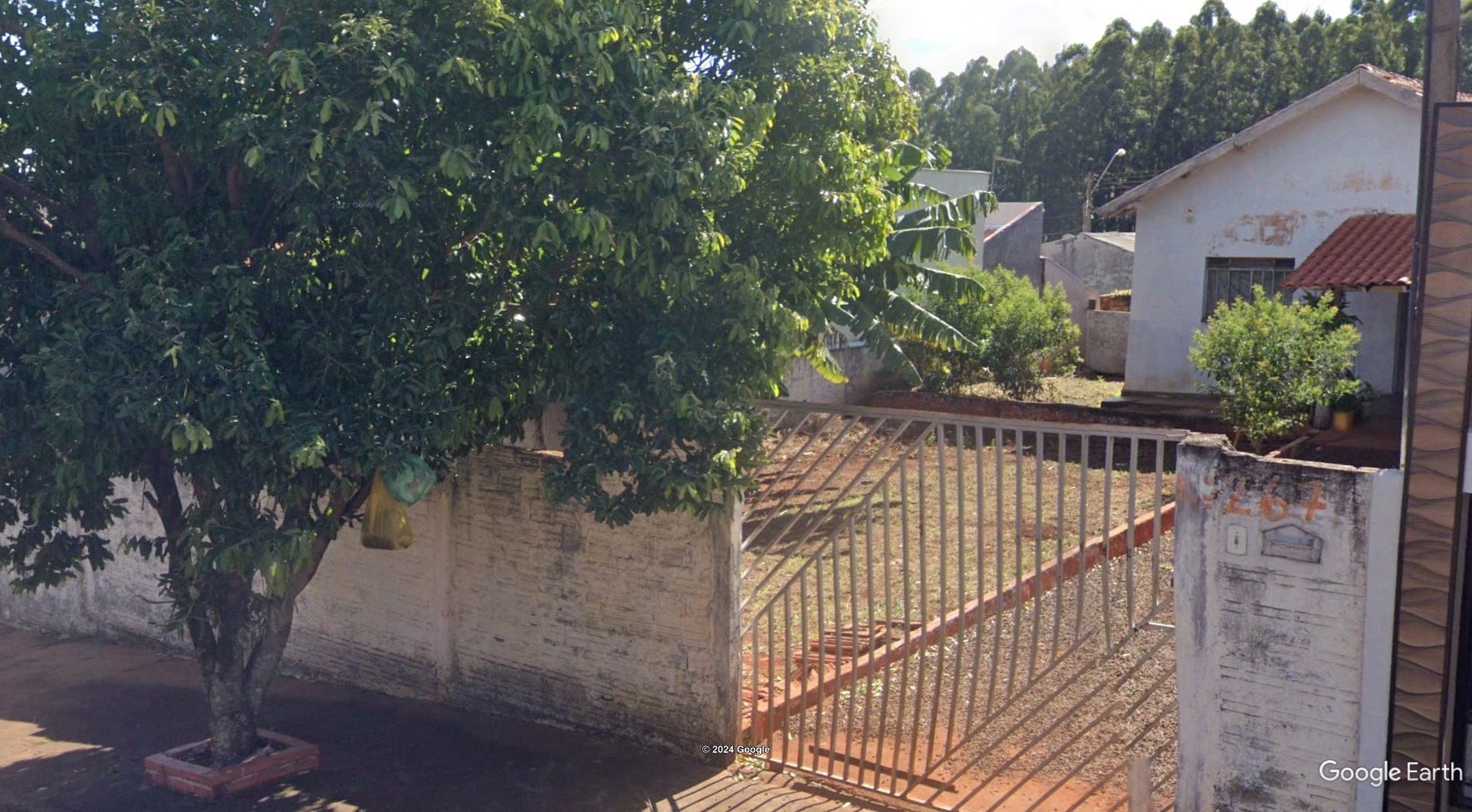 Imagem 3