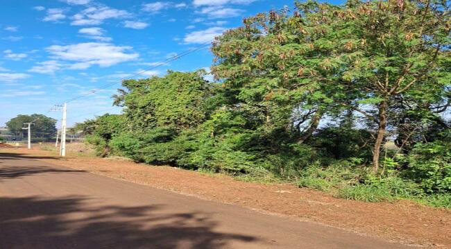 Imóvel C/ 1,41 Alq. Em Mercedes/pr, localizado em Mercedes - PR