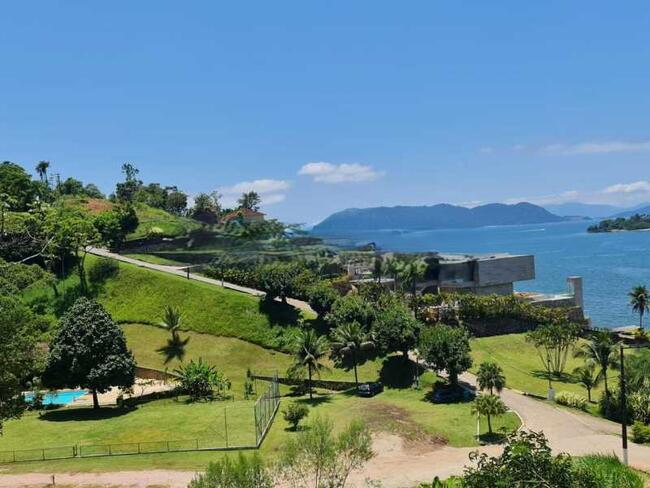 GRANDE LEILÃO DA CAEX