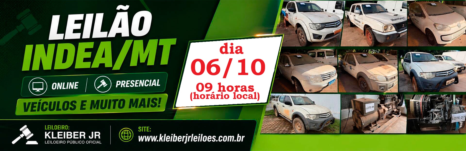INDEA/MT – Leilão