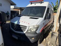 Lote 10