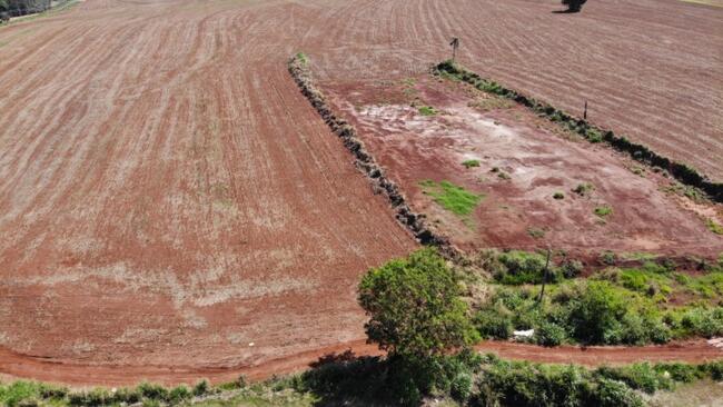Terreno (foto 7 de 10)